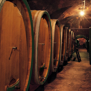 Winery Feiler-Artinger, barrel cellar