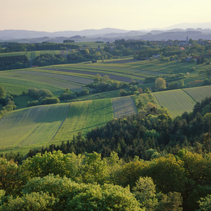 Landscape of Central Burgenland