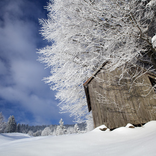 Winter landscape near Dornbirn, Vorarlberg
