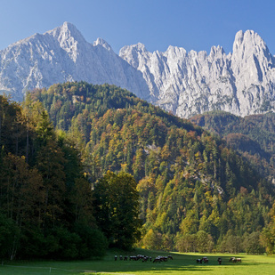 Wilder Kaiser mountains near Kaiserbachtal,Tyrol