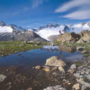 Zillertaler Alpen Blick auf Schönbichler Horn.