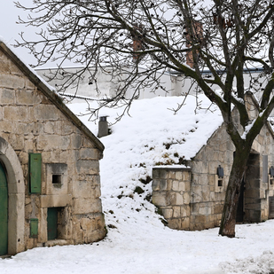 Purbach cellar lane in winter, Burgenland