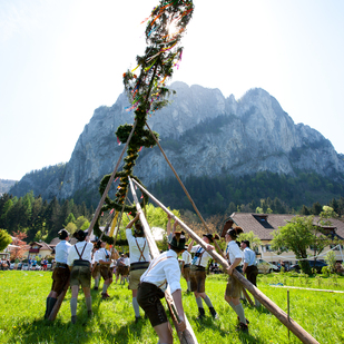 Maibaumsetzen