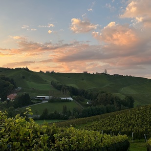 Twilight in Gamlitz on the South Styrian Wine Road