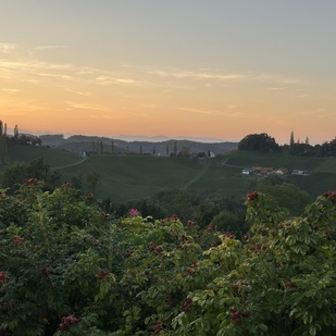 Twilight in Gamlitz on the South Styrian Wine Road