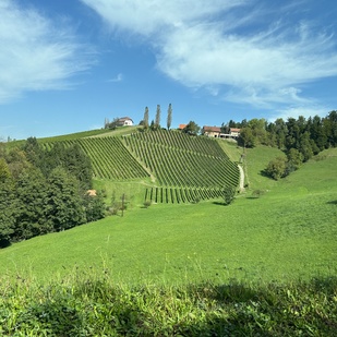 Panoramic view in Leutschach on the South Styrian Wine Road