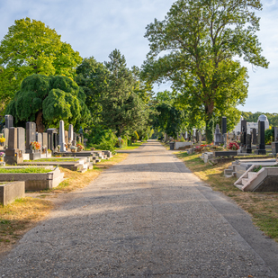 Vienna, Central Cemetery