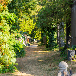 Vienna, Central Cemetery