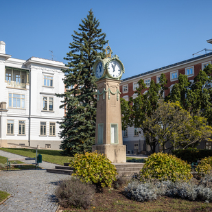 Otto Wagner Spital