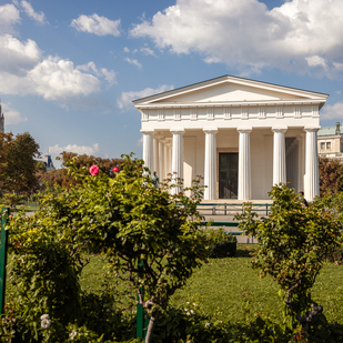 Volksgarten Theseustempel mit Rosenstock