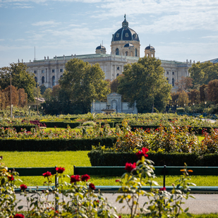 Volksgarten Parkanlage mit Blick auf das Naturhistorische Museum