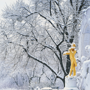 Monument of Johann Strauss / Vienna winter