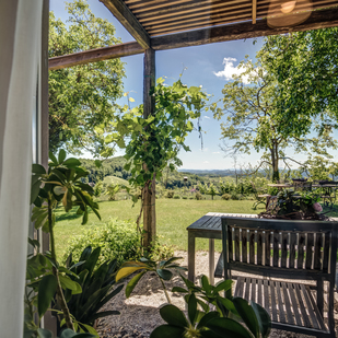 Winzarei Tement Weisses Zimmer Terrasse