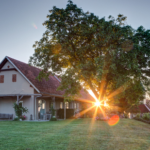 Winzarei Tement Herrenhaus Zieregg