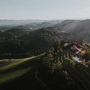 Weingut Tement Zieregg