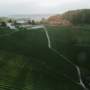 Weingut Tement Zieregg Vogelperspektive