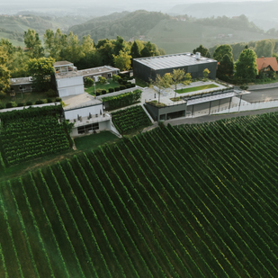 Weingut Tement Zieregg Bird's eye view close