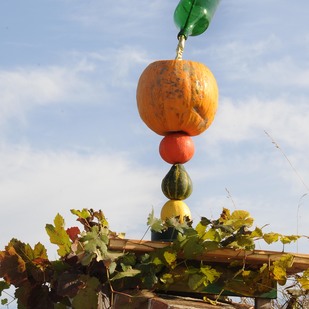 Pumpkin festival in the Retzer Land