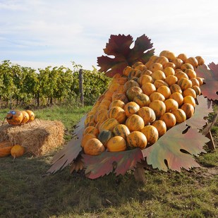 Pumpkin festival in the Retzer Land
