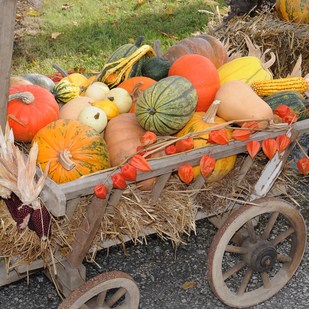 Pumpkin festival in the Retzer Land