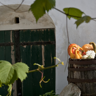 Pumpkin festival in the Retzer Land