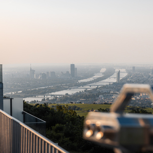 Kahlenberg, viewing terrace