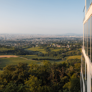 Kahlenberg, view over Vienna's vineyards and city panorama
