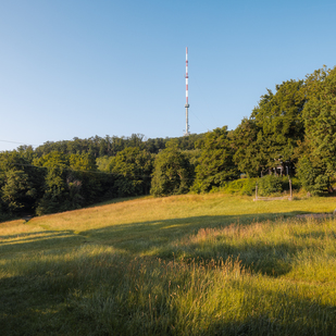 Kahlenberg, Elisabethwiese