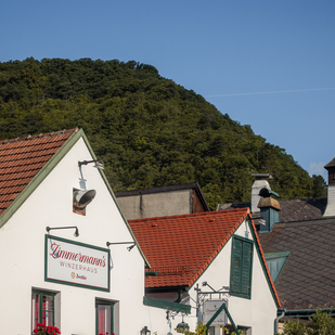Kahlenbergerdorf – View of the Leopoldsberg