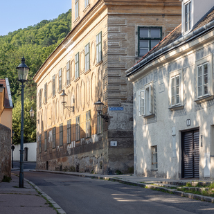 Kahlenbergerdorf - Historic alleys and village idyll