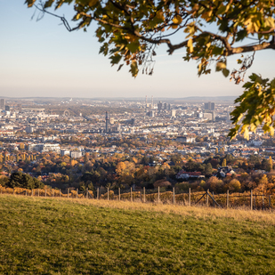 Bellevuewiese mit Wienblick
