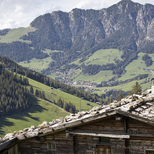 Stettauer Alm, Inneralpbach