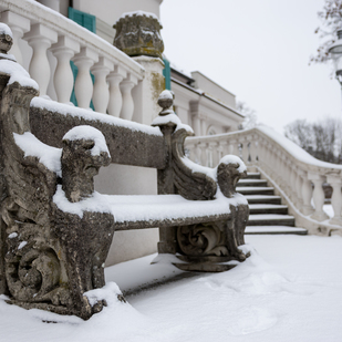 Magic of winter in the park