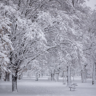 Verschneite Parkanlage in der Stadt