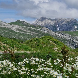 Seekopf-Hochplateau in Zürs: Blick auf den Rüfikopf