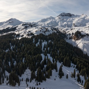 Alpine Winterlandschaft mit Waldkulisse