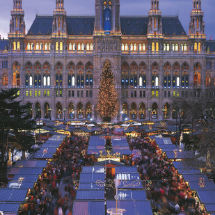 Christmas market in Vienna / Town Hall square