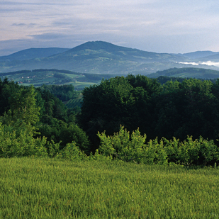 Hill country near Poellau Eastern Styria