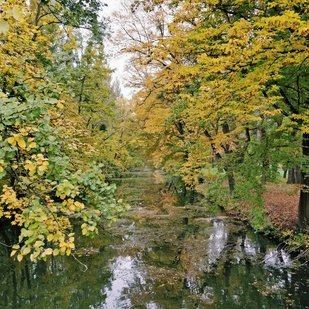Natur im Laxenburger Park